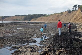 People visit the Duxbury Reef on April 25 in Bolinas, Calif. Credit: Claire Barber/Inside Climate News