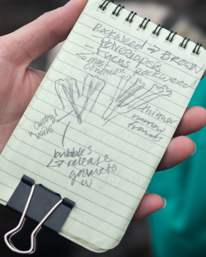A biology class visits Duxbury Reef on April 25. Credit: Claire Barber/Inside Climate News