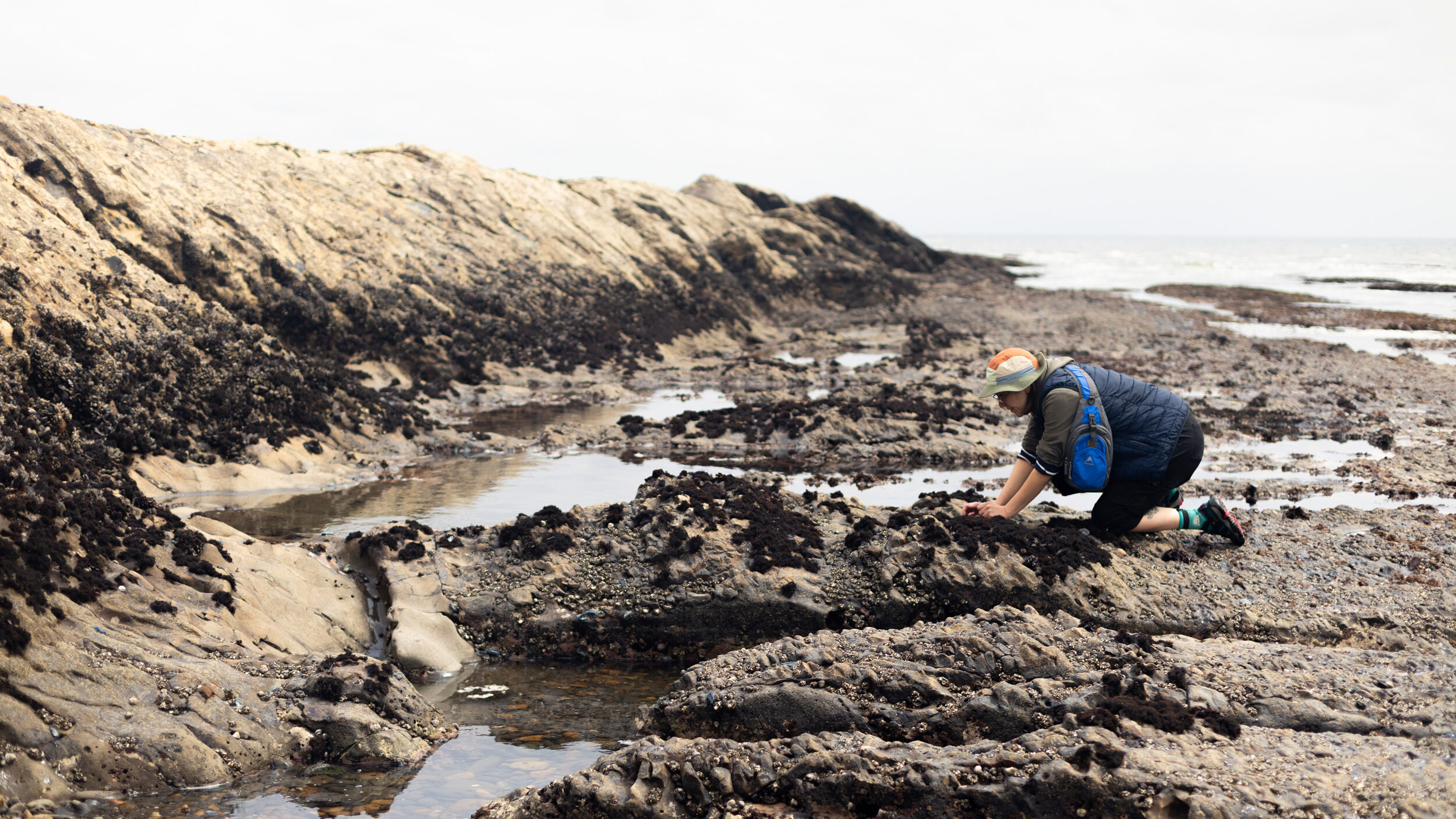 A biology student at Duxbury Reef on April 25. Credit: Claire Barber/Inside Climate News