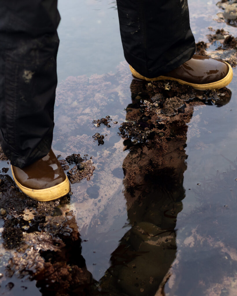 A biology class visits Duxbury Reef on April 25. Credit: Claire Barber/Inside Climate News