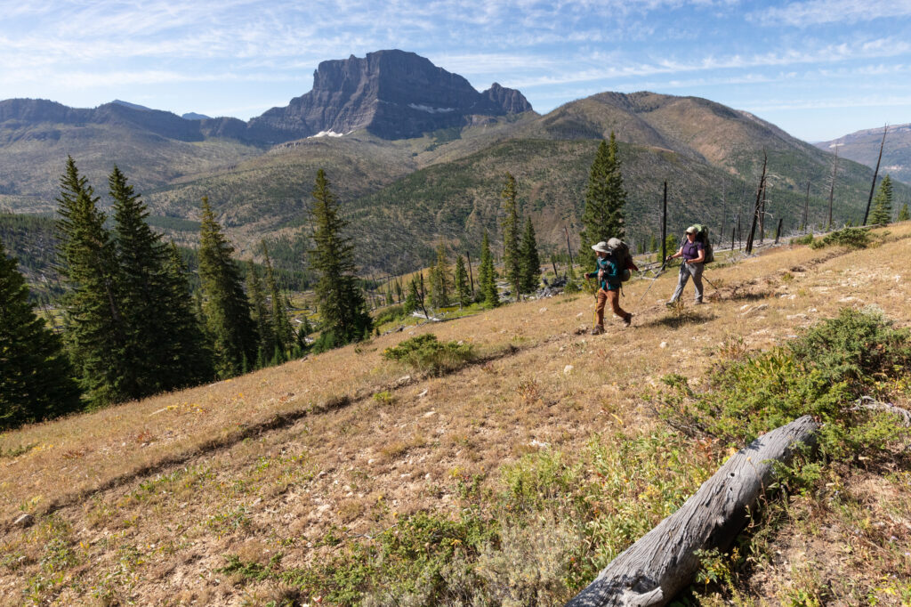 Logging Project Near Yellowstone Could Threaten Wildlife Habitat and Tourist-Dependent Businesses