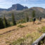 Hikers walk along a trail in Montana’s Custer Gallatin National Forest. Credit: Jacob W. Frank/National Park Service