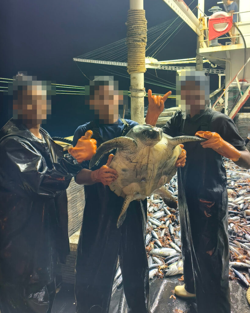 A crew poses with a turtle.