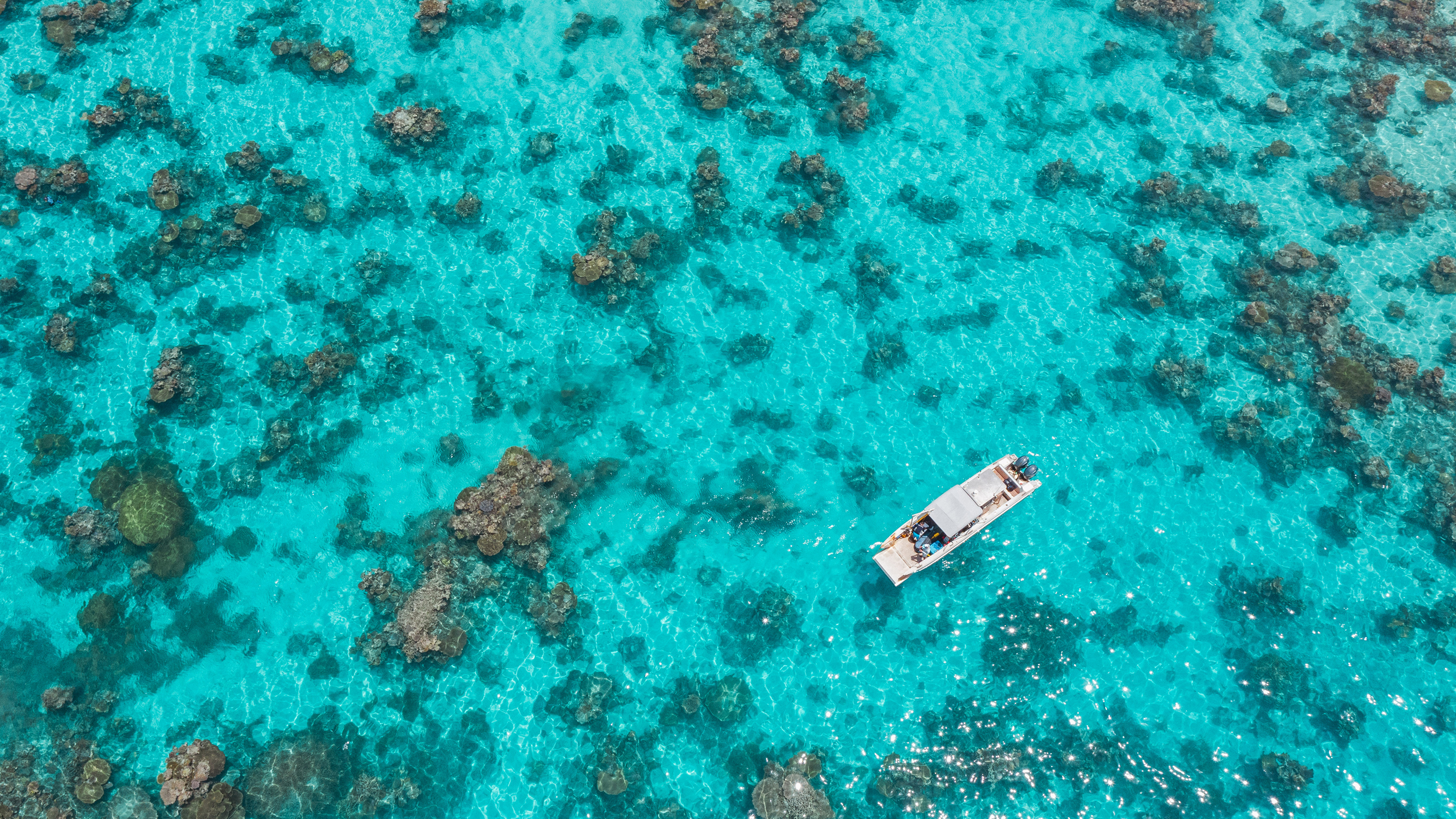 In April, Woods Hole scientists traveled to Majuro to test new technology they say will be critical to monitoring large areas of coral reef quickly during a bleaching event. Credit: Tim Briggs