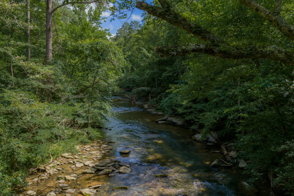 Image shows a portion of Turkey Creek, shaded by trees