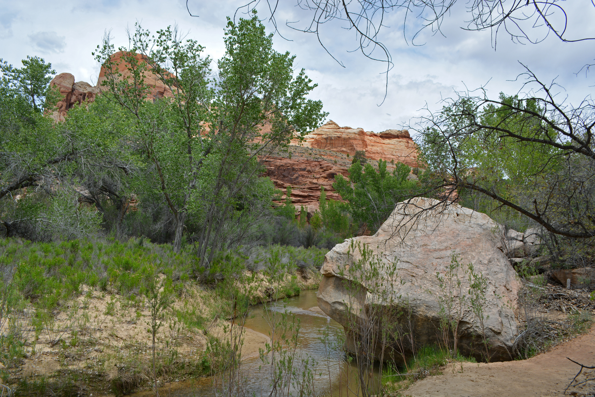 The Escalante River flows 90 miles into Lake Powell on the Utah-Arizona border. Visitors can hike along it at the Escalante River Trailhead in Grand Staircase-Escalante National Park Monument. Credit: Wyatt Myskow/Inside Climate News
