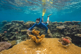 Coral reef scientist, Anne Cohen, is searching for heat-resilient “super reefs” in the Central Pacific. Credit: Tim Briggs