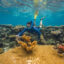 Coral reef scientist, Anne Cohen, is searching for heat-resilient “super reefs” in the Central Pacific. Credit: Tim Briggs