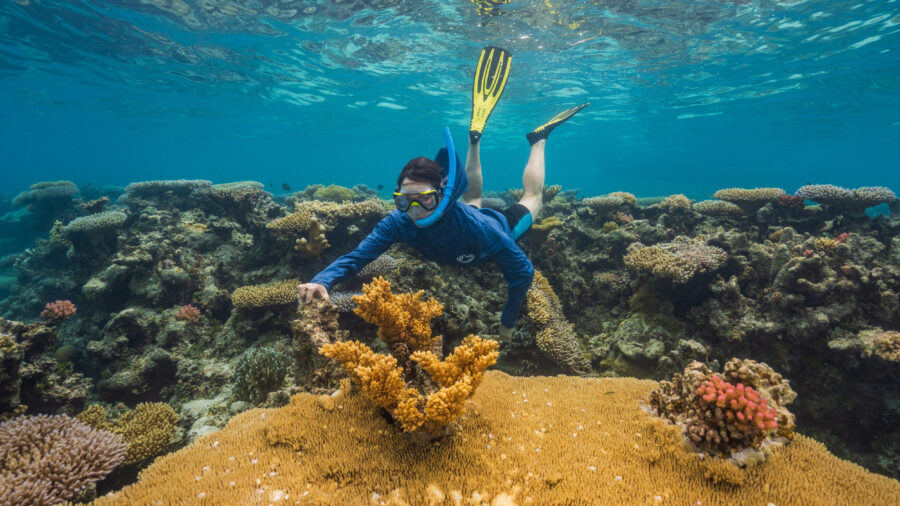 Coral reef scientist, Anne Cohen, is searching for heat-resilient “super reefs” in the Central Pacific. Credit: Tim Briggs