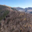 Dead trees burned by a wildfire span across the Manti-La Sal National Forest near Moab, Utah, in 2022. Credit: Jon G. Fuller/Universal Images Group via Getty Images