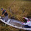 Harvey Goodsky Jr. and his wife Morningstar harvest wild rice on Minnesota’s Rice Lake in September 2017. Credit: Richard Tsong-Taatarii/Star Tribune via Getty Images