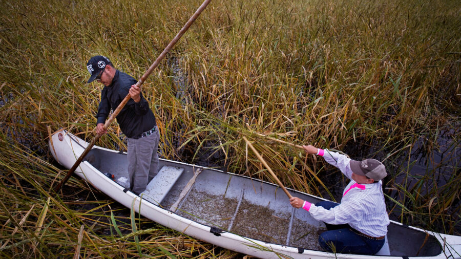 Harvey Goodsky Jr. and his wife Morningstar harvest wild rice on Minnesota’s Rice Lake in September 2017. Credit: Richard Tsong-Taatarii/Star Tribune via Getty Images