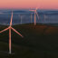 An aerial view of the Altamont Pass wind farm on Jan. 13 in Livermore, Calif. Credit: Justin Sullivan/Getty Images