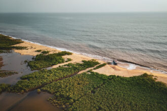 A shrinking mangrove forest is seen at the edge of the Freetown Peninsula coastline in Sierra Leone on April 12. Credit: Gemma Bonfiglioli/AFP via Getty Images