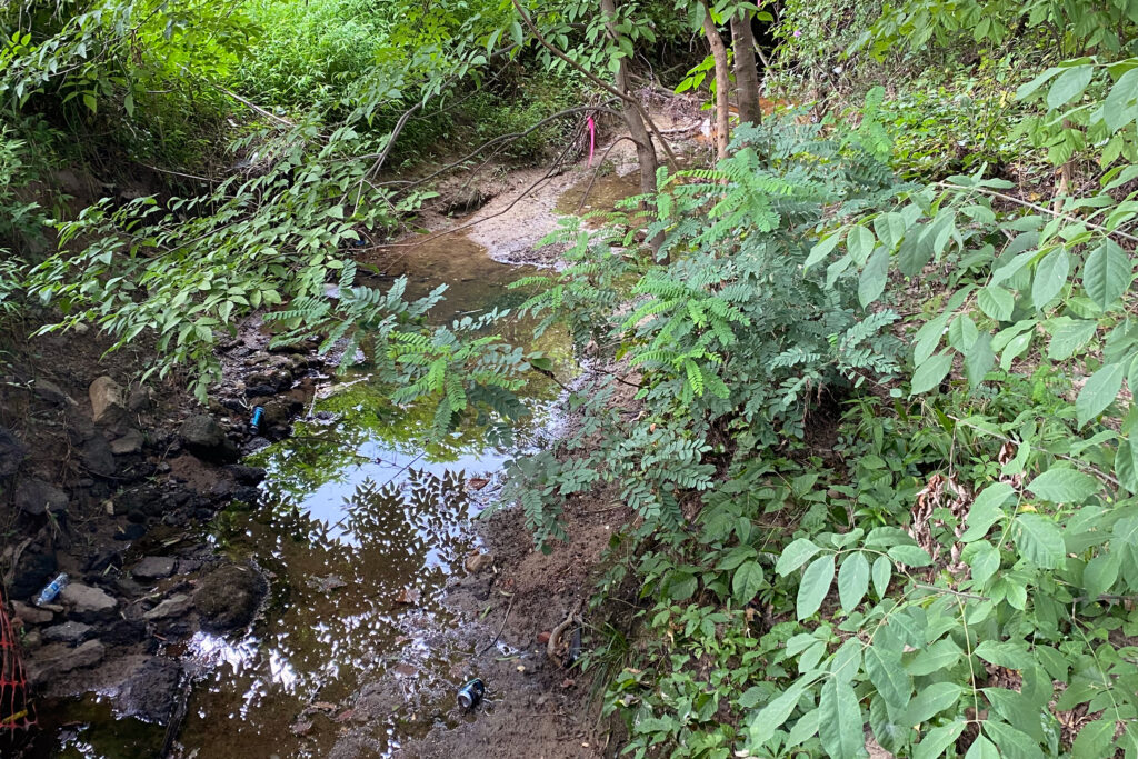North Carolina Sues Chemical Company for Polluting a Nearby Creek