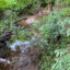Downstream of Brenntag’s Durham plant, where toxic chemicals was detected in the sediment of a creek that flows through Burton Park. Credit: Lisa Sorg/Inside Climate News