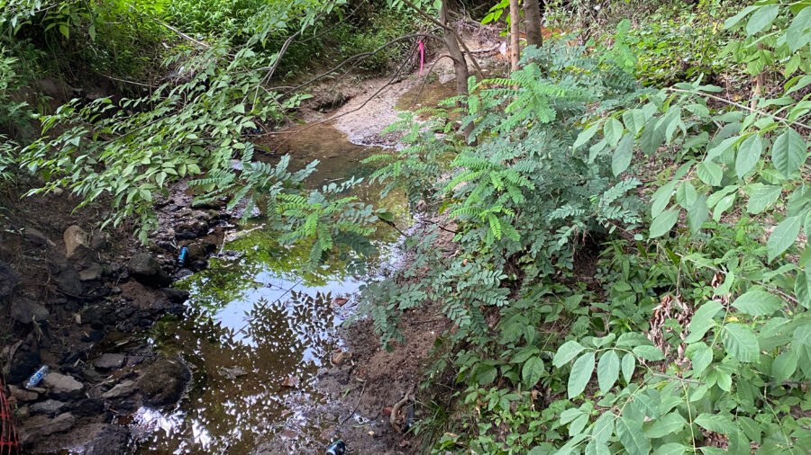Downstream of Brenntag’s Durham plant, where toxic chemicals was detected in the sediment of a creek that flows through Burton Park. Credit: Lisa Sorg/Inside Climate News