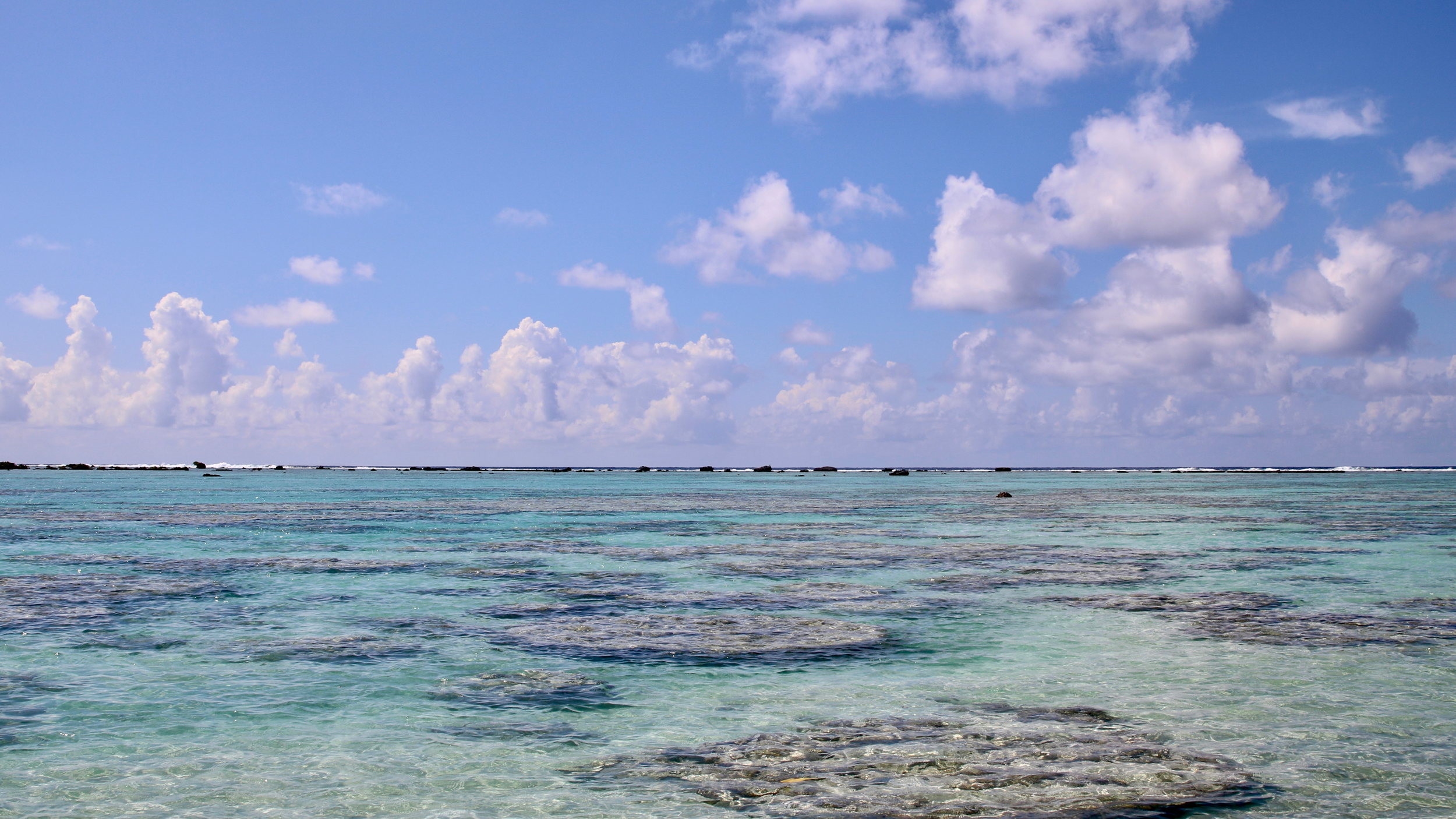 A view of Moorea’s fringing coral reef. Credit: Ryan Green/Inside Climate News