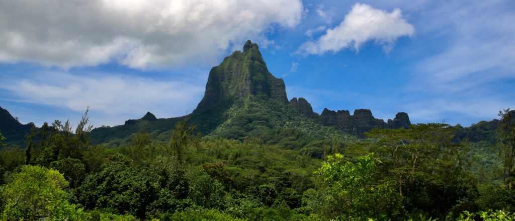 Volcanic peaks slope from Moorea’s shore. Credit: Ryan Green/Inside Climate News