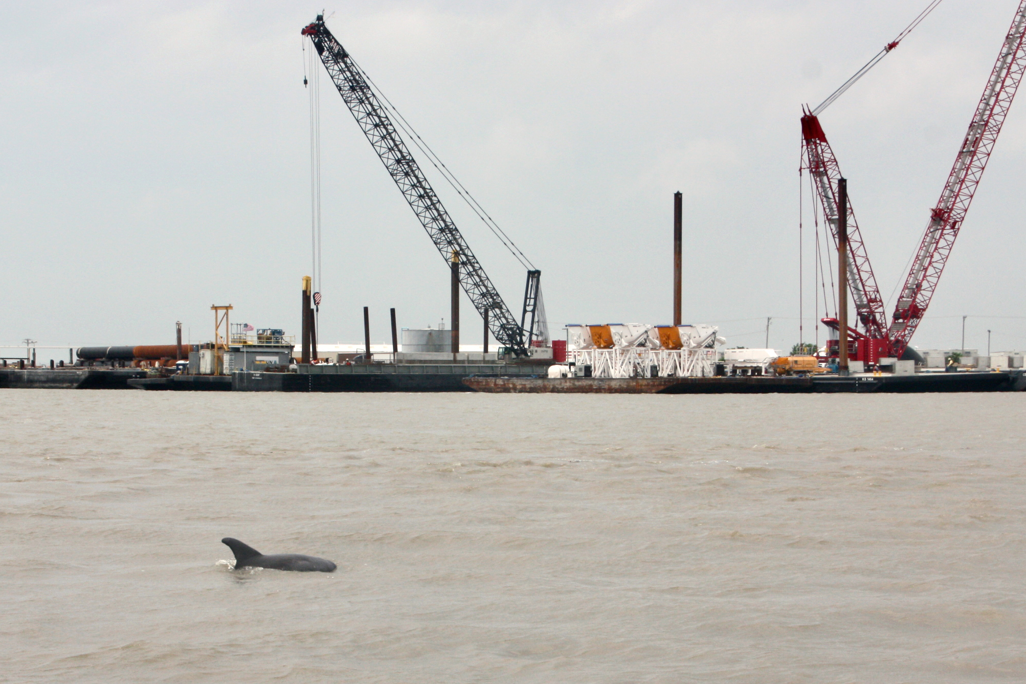 Cameron, La., is home to one LNG terminal and now two more are under construction. Local fishermen say the operations are ruining their livelihoods. Credit: Nicholas Kusnetz/Inside Climate News