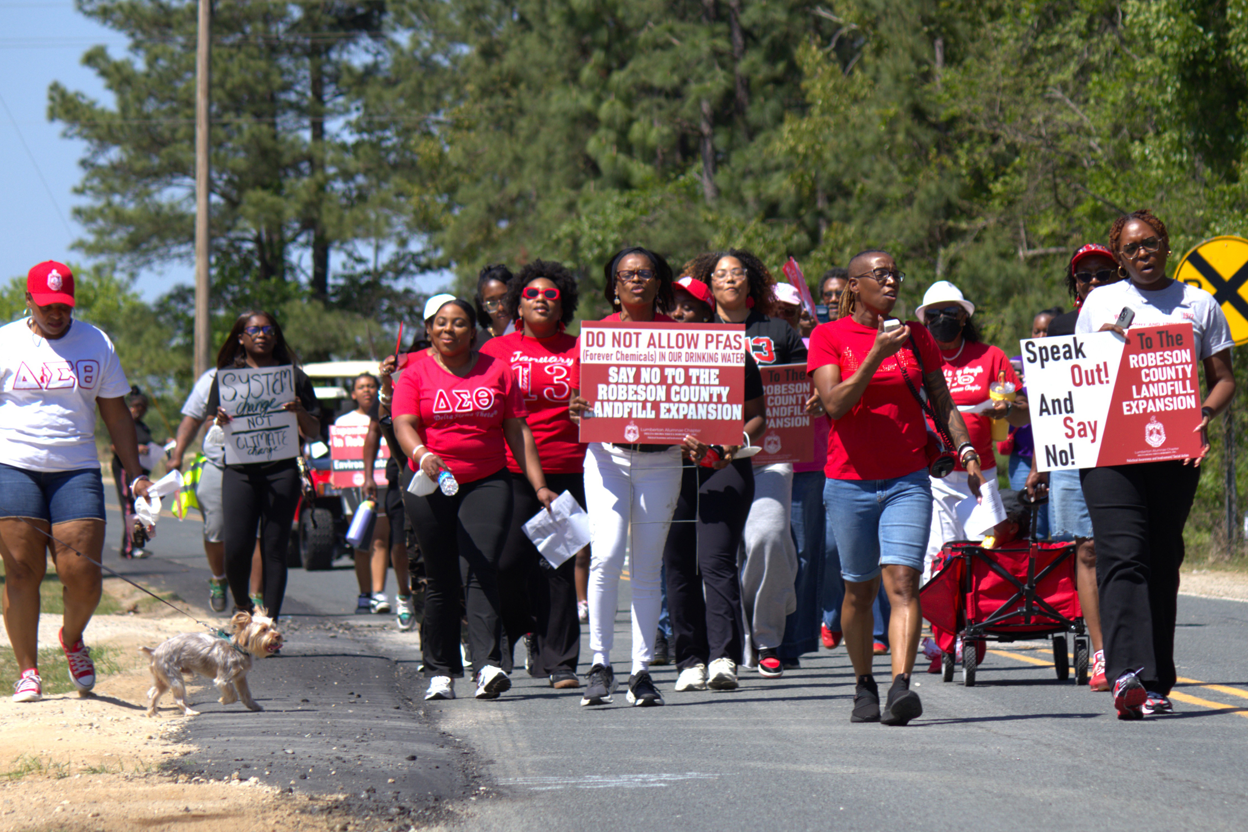 Members of the Lumberton Alumnae Chapter of the Delta Sigma Theta Sorority march in St. Pauls as part of a protest against the Robeson County Landfill’s expansion. Credit: Morgan Casey