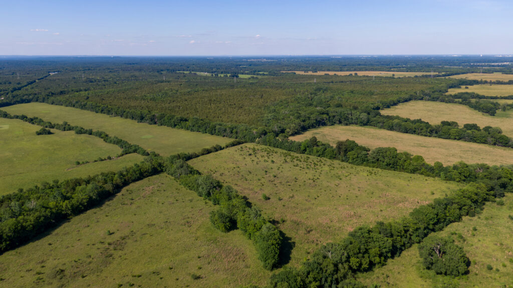 The 800-acre proposed site of Project Red Clay, a hyperscale data center campus, in rural Lowndes County, Alabama. Credit: Lee Hedgepeth/Inside Climate News
