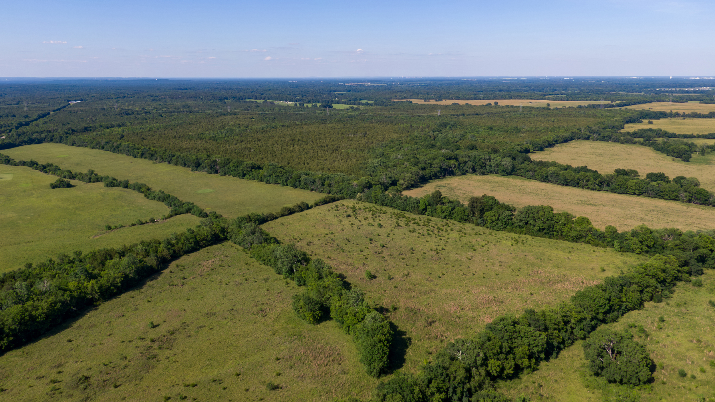 The 800-acre proposed site of Project Red Clay, a hyperscale data center campus, in rural Lowndes County. Credit: Lee Hedgepeth/Inside Climate News