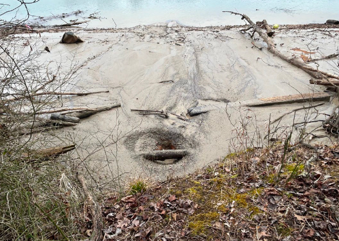 While boring under the Emory River, pipeline contractors noted an “inadvertent return” of drilling fluid that spilled 40 feet from the edge of the waterway. Credit: FERC