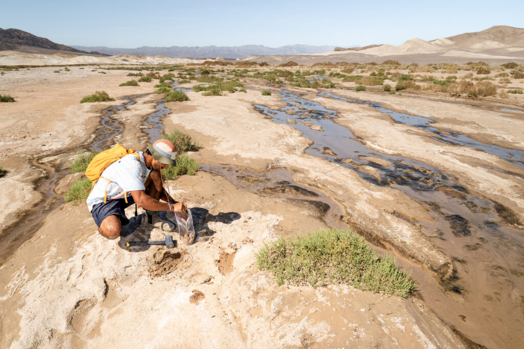 Threads of Earth’s Underground Fungal Networks Are Long Enough to Reach Beyond the Solar System