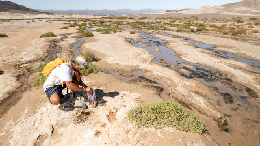 Jinsu Elhance collects soil samples in the Mojave Desert for the Society for the Protection of Underground Networks. Credit: SPUN
