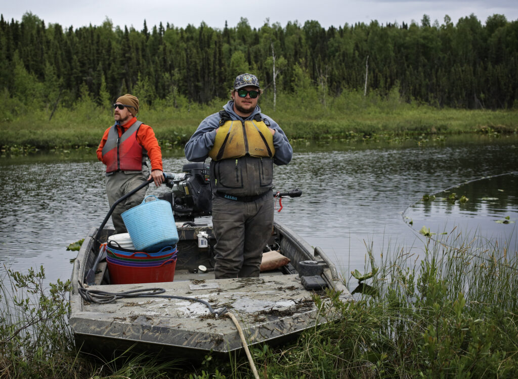 Alaska Department of Fish and Game wildlife technicians Corey Ercolani, left, and Thomas Sitz, stand on their boat shortly before returning to check nets for pike at Nancy Lakes State Recreation Area near Willow, Alaska on Monday, June 22, 2026. Credit: Emily Mesner/Inside Climate News