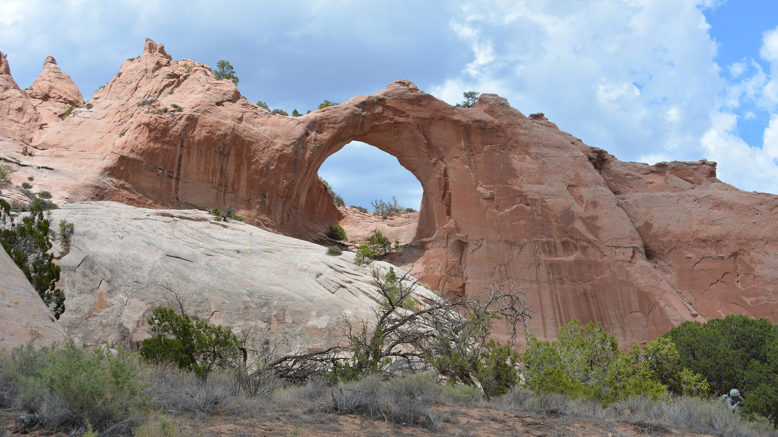 Window Rock is the capital of the Navajo Nation and is named for the natural sandstone arch backdropping the city. Credit: Wyatt Myskow/Inside Climate News