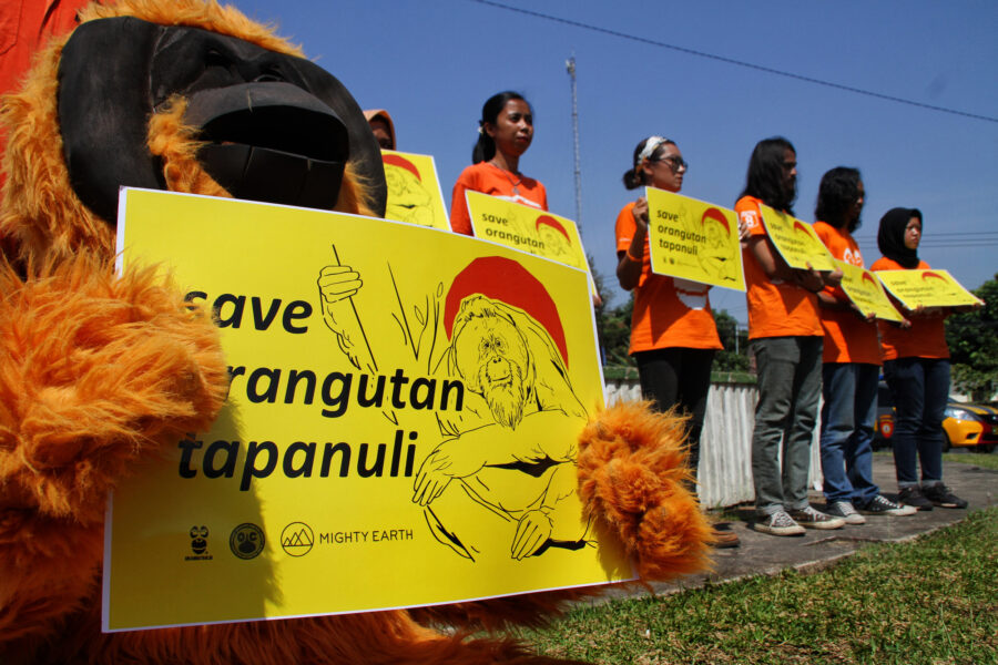 Activists attend a rally to protect the Tapanuli orangutan in Yogyakarta, Indonesia. Credit: Devi Rahman/Universal Images Group via Getty Images