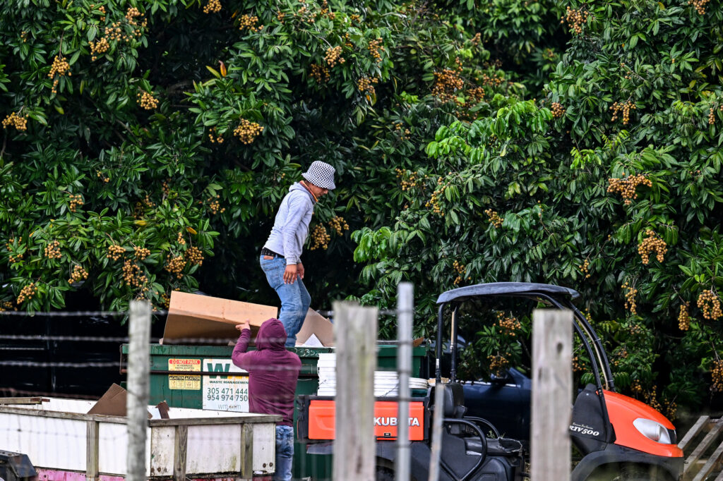 OSHA Proposed Heat Protections for Workers. Two Years Later, They're Still Not Final.