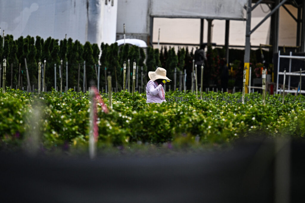 The Dire Lengths Florida Farmworkers Go to Keep Working in ‘Scorching’ Heat