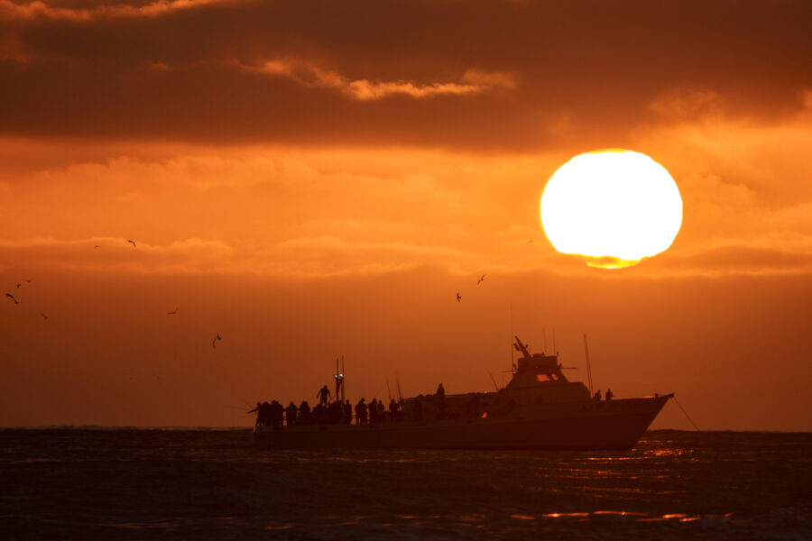 A commercial fishing boat is seen off the coast of San Diego as the sun sets on July 5, 2025. Credit: Kevin Carter/Getty Images
