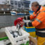 A fisherman unloads Atlantic mackerel in Brest, France, on Dec. 11, 2025. Credit: Fred Tanneau/AFP via Getty Images
