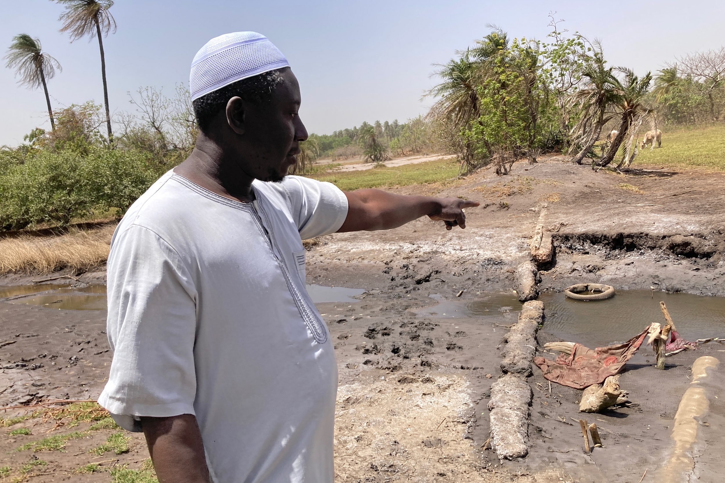 Suaaibou Darboe, the leader of Bakalarr village, points at the remains of a dirt embankment that once protected the area’s rice fields from the salty Gambia River. Credit: Phred Dvorak/Inside Climate News