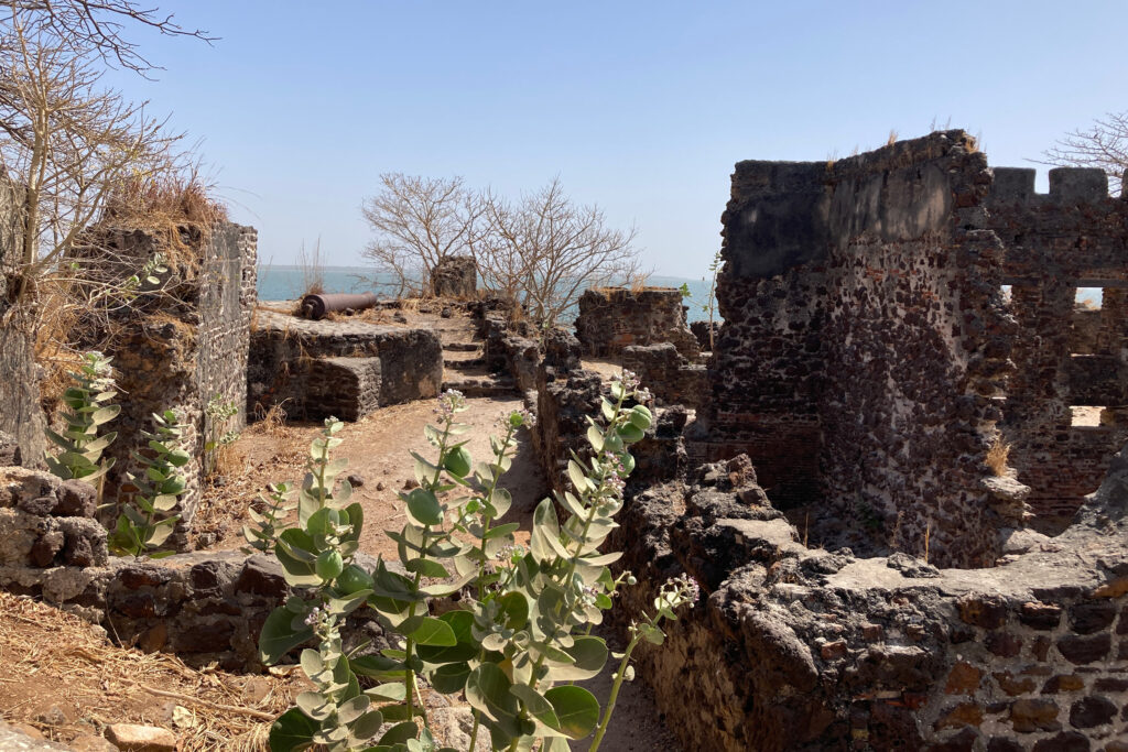 Ruins of an old British slave-trading fort on an island in the Gambia River. Gambians renamed the island in honor of Kunta Kinte. Credit: Phred Dvorak/Inside Climate News