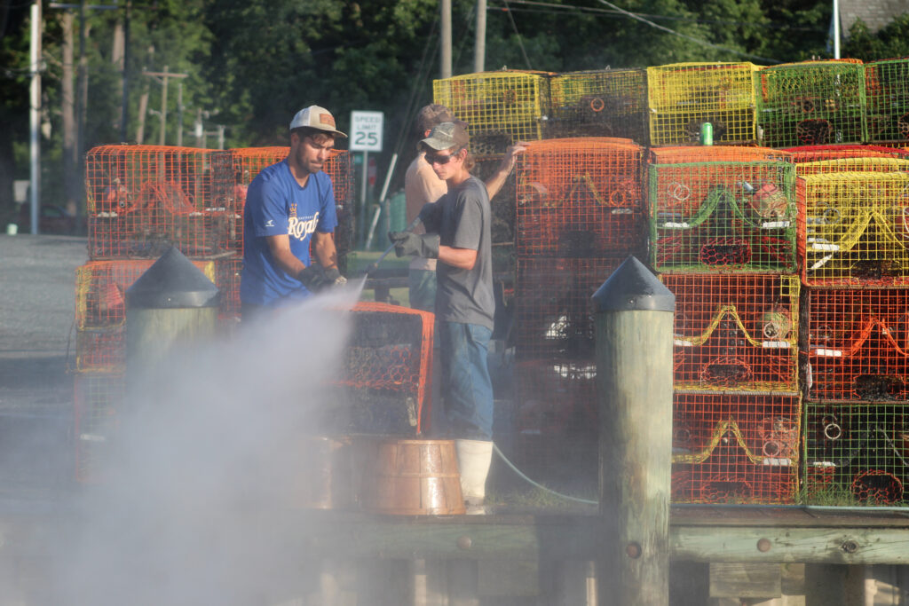 Watermen tend to traps at the Quinby Harbor. Credit: Charles Paullin/Inside Climate News