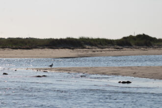 Barrier islands around the Eastern Shore of Virginia. Credit: Charles Paullin/Inside Climate News