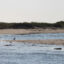 Barrier islands around the Eastern Shore of Virginia. Credit: Charles Paullin/Inside Climate News