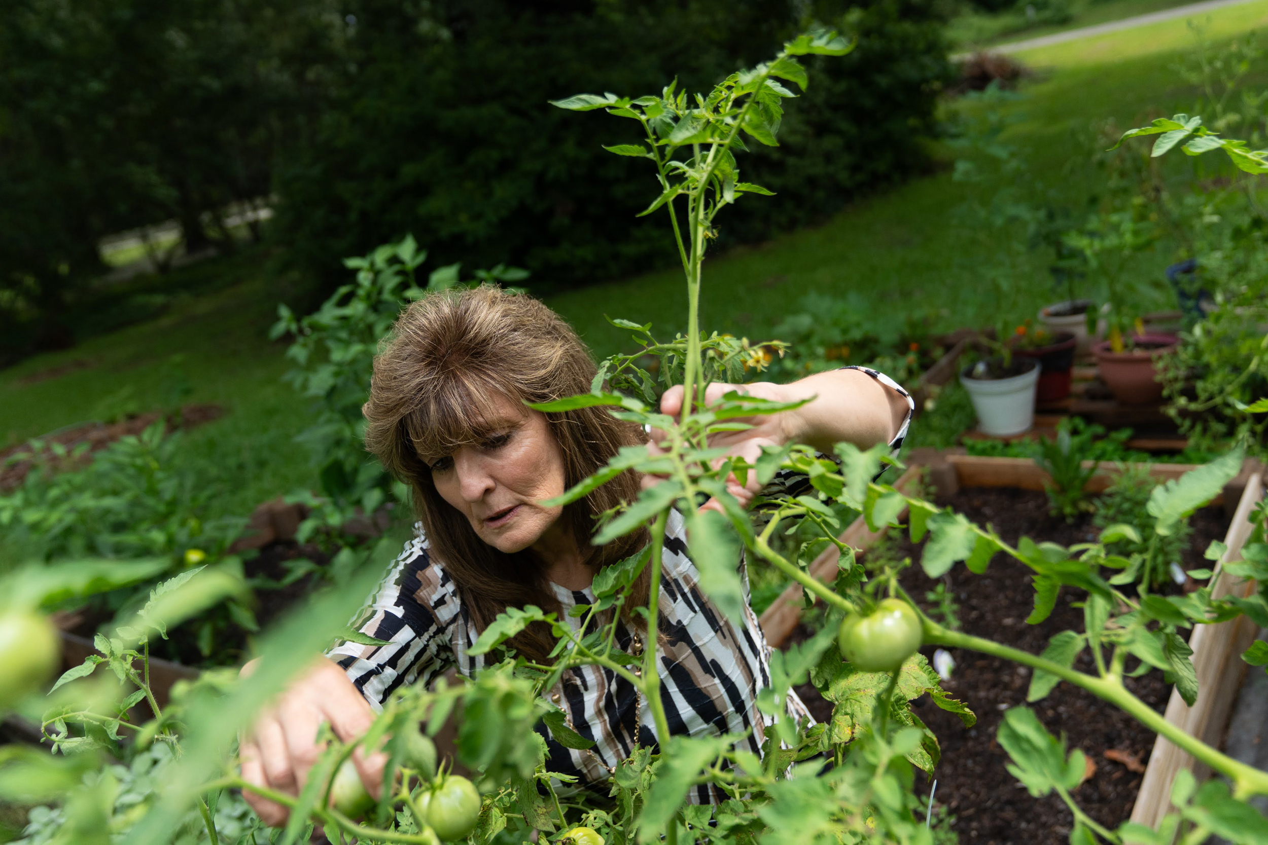 Jamie White, a plaintiff in the class-action lawsuit, tends to her vegetable garden. She lives in Grays Creek, a community hard-hit by PFAS contamination from the Chemours Fayetteville Works plant five miles away. Credit: Mehmet Demirci/Inside Climate News