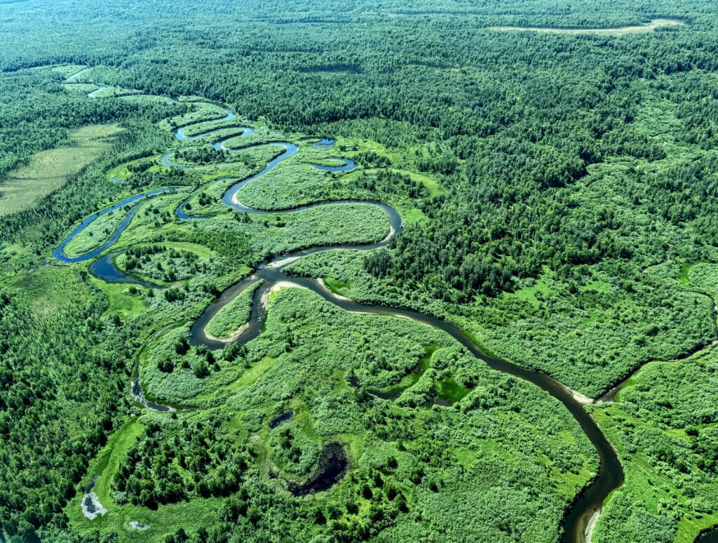One of the many creeks in the West Susitna Valley that have been invaded by northern pike to the detriment of native fish species, including salmon. Credit: Paula Dobbyn/Inside Climate News