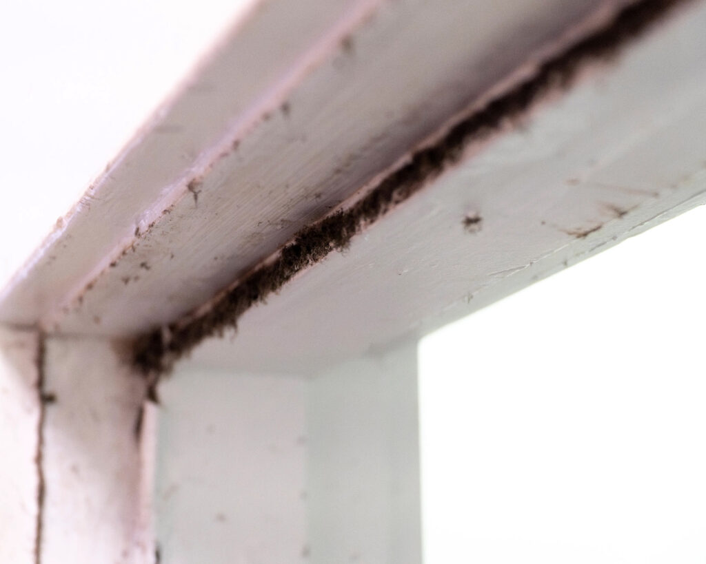 Black mold grows along a door frame in a Chinatown SRO unit. Credit: Neal Wong/San Francisco Public Press