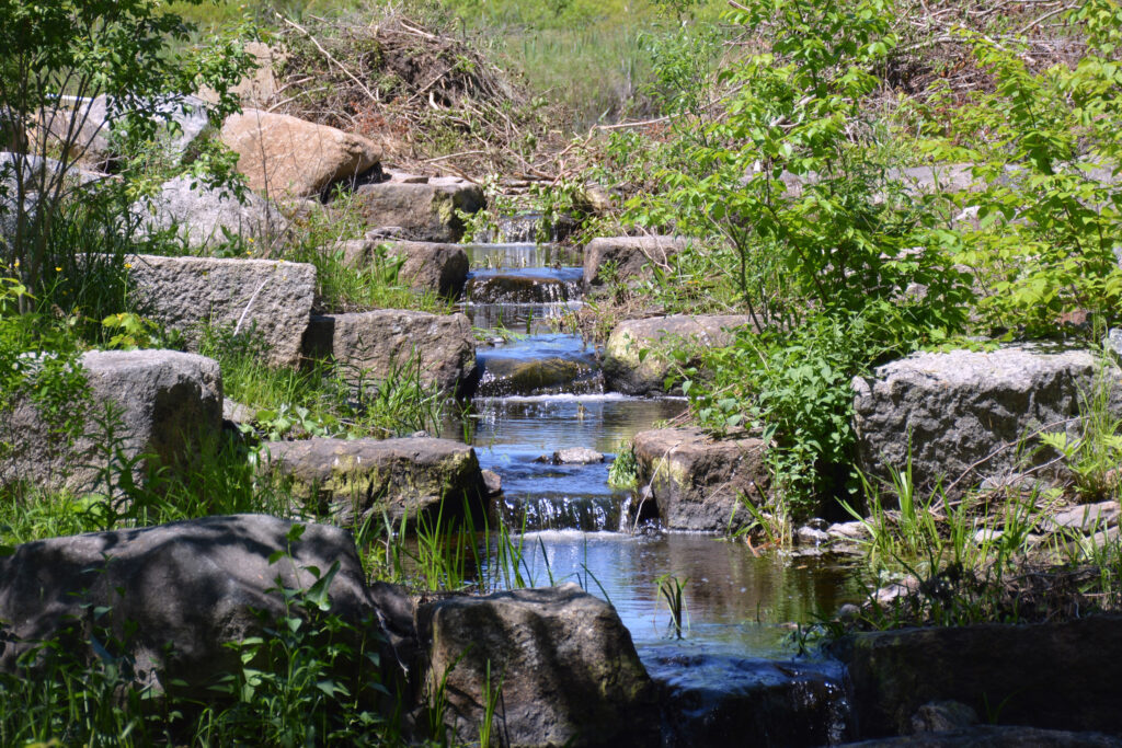 A series of stepped pools, like this one in Penobscot, Maine, can transform a steep incline into smaller elevations that alewives can migrate through, making their spawning ponds accessible to them again. Credit: Sydney Cromwell/Inside Climate News