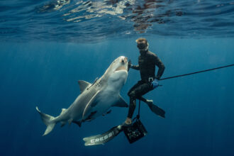 Tanner Mansell hand-feeds a bull shark off of the coast of Jupiter, Fla. Credit: Danny Lomas