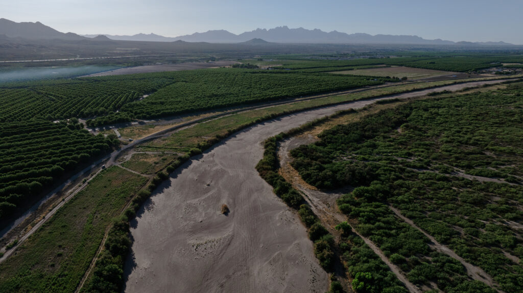 The Clock Is Ticking for New Mexico to Cut Rio Grande Water Use