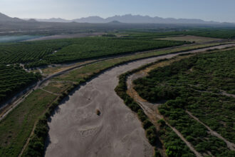 The dry riverbed of the Rio Grande is seen next to pecan orchards in Radium Springs, N.M., before annual water releases began on May 30.