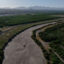 The dry riverbed of the Rio Grande is seen next to pecan orchards in Radium Springs, N.M., before annual water releases began on May 30.